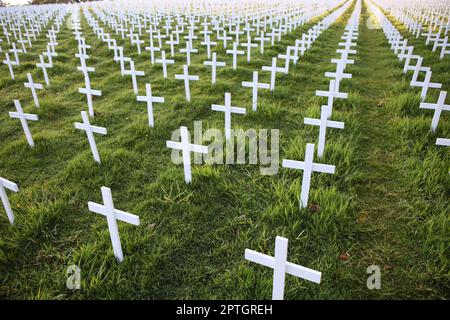 ANZAC, Gallipoli, victimes de la guerre réprimandées Banque D'Images