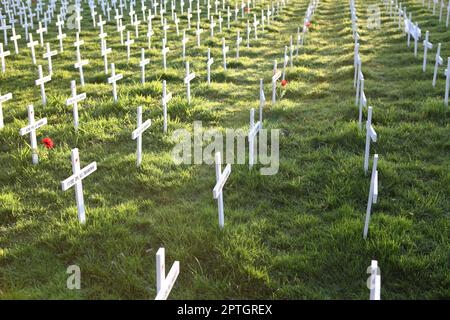 ANZAC, Gallipoli, victimes de la guerre réprimandées Banque D'Images