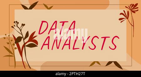 Légende de texte présentant les analystes de données, Conceptual photo Programmer Design et Create Report identifie les motifs Banque D'Images