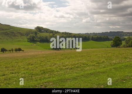 Campagne par Cissbury Ring fort antique de colline près de Findon, Worthing, West Sussex, Angleterre. Banque D'Images