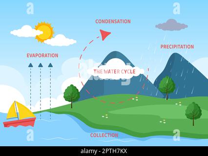 Cycle de l'eau d'évaporation, de condensation, de précipitation à la collecte dans l'environnement naturel terrestre sur le dessin main de dessin de dessin animé à plat Illustration Illustration de Vecteur