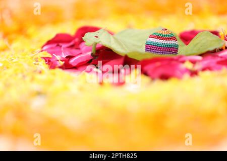 Loard de mariage indien Ganesha , rituel hindou Banque D'Images