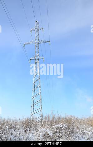 La tour de ligne électrique est située dans une zone marécageuse, recouverte de neige. Grand champ de boulroupes jaunes Banque D'Images