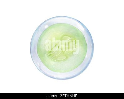Tranche de concombre frais, dans une bulle isolée sur fond blanc Banque D'Images