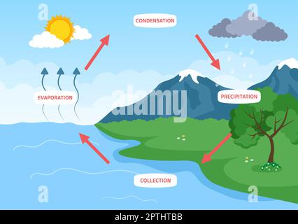 Cycle de l'eau d'évaporation, de condensation, de précipitation à la collecte dans l'environnement naturel terrestre sur le dessin main de dessin de dessin animé à plat Illustration Banque D'Images