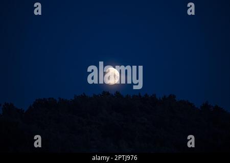 Lune qui s'élève au-dessus d'une forêt Banque D'Images