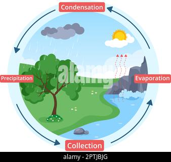Cycle de l'eau d'évaporation, de condensation, de précipitation à la collecte dans l'environnement naturel terrestre sur le dessin main de dessin de dessin animé à plat Illustration Illustration de Vecteur