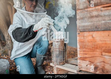 Apiculteur, costume d'abeille et fumée, brouillard et fumer une boîte de ruche à l'extérieur sur une ferme, travail et protection de sécurité. Travail agricole, femme âgée et ferme Banque D'Images