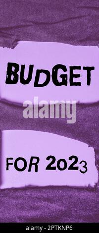 Affiche textuelle indiquant le budget pour 2023, Business concept une estimation écrite des recettes et des dépenses pour 2023 Banque D'Images