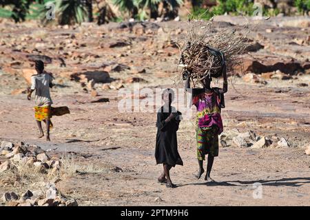 Nicolas Remene / le Pictorium - région de l'Ende Bandiagara pays Dogon - 28/11/2009 - Mali / Bandiagara / Ouroli Tenne - enfants du village Banque D'Images