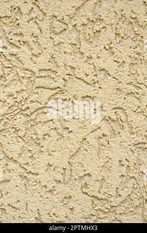 La texture du plâtre décoratif beige dans un style de scolytes. Fédération de variation de la décoration des murs de façade Banque D'Images