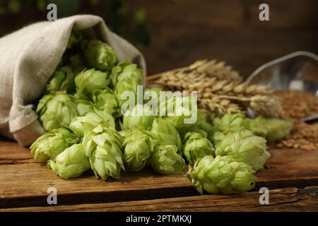 Houblon vert frais sur table en bois, gros plan Banque D'Images