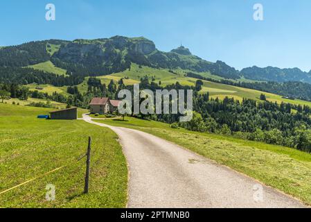 Paysage dans les Alpes d'Appenzell avec des pâturages verts et des prairies, vue sur le Mont Hoher Kasten, Bruelisau, Canton d'Appenzell Innerrhoden, Suisse Banque D'Images