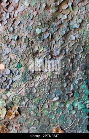 Porte recouverte de feuilles, façade de la Nativité de la Sagrada Familia, Barcelone, Espagne. Banque D'Images