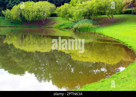 Adda Heights Town Park est un parc communautaire à Johor Bahru améliore un beau lac au milieu, avec des routes bien entretenues et des installations telles que to Banque D'Images