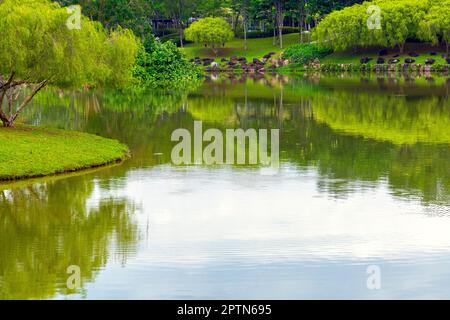 Adda Heights Town Park est un parc communautaire à Johor Bahru améliore un beau lac au milieu, avec des routes bien entretenues et des installations telles que to Banque D'Images