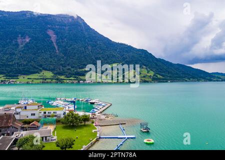 Vue aérienne d'Arth sur le lac Zug, Schwyz, Suisse Banque D'Images