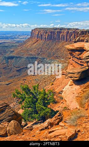 La crête de Sandstone sort d'un Canyon dans le parc national de Canyonlands, dans l'Utah Banque D'Images