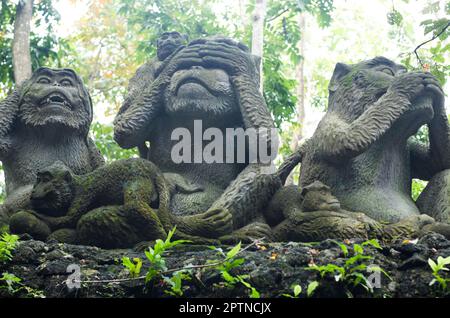 Bali et Ubud Indonésie y compris la forêt de singes ubud Banque D'Images
