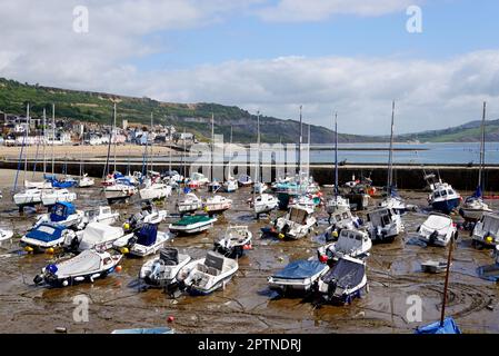 Petits bateaux amarrés dans le port avec la ville et la plage à l'arrière, Lyme Regis, Dorset, Royaume-Uni, Europe. Banque D'Images