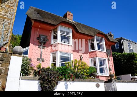 Vue de face d'une jolie maison en mosaïque rose de chaume appelée Library Cottage le long du front de mer, Lyme Regis, Dorset, Royaume-Uni. Banque D'Images