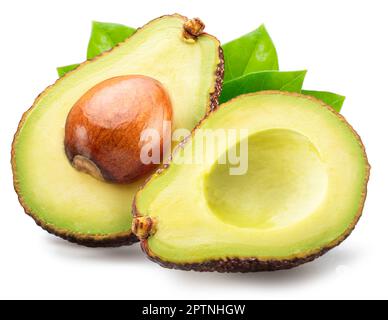 Deux moitiés du fruit de l'avocat de hass avec des feuilles isolées sur fond blanc. Banque D'Images
