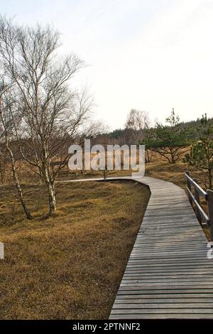 Sentier de randonnée au-dessus d'une passerelle en bois jusqu'à la dune haute sur le Darß. Parc national en Allemagne. Photo de la nature Banque D'Images