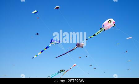 Image d'un rassemblement de nombreux cerfs-volants sur la plage de Pinarella di Cervia. Pinarella di Cervia, Ravenne, Italie Banque D'Images