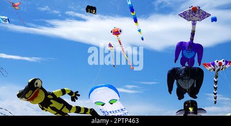 Image d'un rassemblement de nombreux cerfs-volants sur la plage de Pinarella di Cervia. Pinarella di Cervia, Ravenne, Italie Banque D'Images