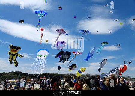 Image d'un rassemblement de nombreux cerfs-volants sur la plage de Pinarella di Cervia. Pinarella di Cervia, Ravenne, Italie Banque D'Images