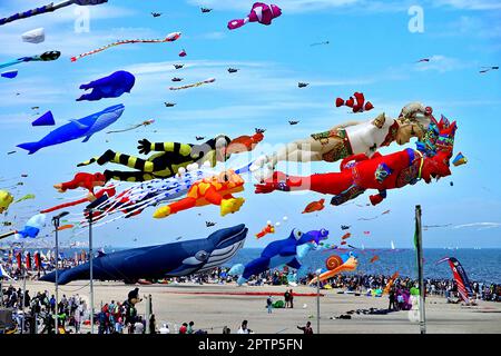 Image d'un rassemblement de nombreux cerfs-volants sur la plage de Pinarella di Cervia. Pinarella di Cervia, Ravenne, Italie Banque D'Images