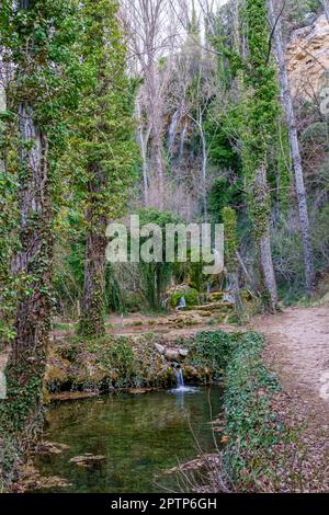 Le Toba de Fuenteoba. Soria. Espagne. Banque D'Images