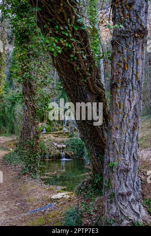 Le Toba de Fuenteoba. Soria. Espagne. Banque D'Images
