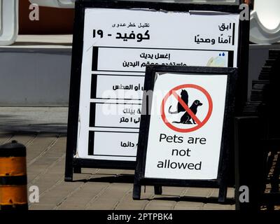 Le Caire, l'Egypte, le 24 avril 2023: Un panneau interdit aux animaux de compagnie de répondre aux questions de politique de propriété et de sécurité avec également un texte arabe de la protection Covid-19 Banque D'Images