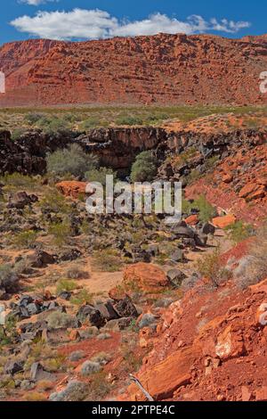 Red Rock Cliffs au-dessus de Rocky Arroyo dans le parc national de Snow Canyon dans l'Utah Banque D'Images