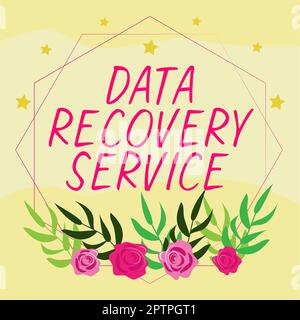 Affichage conceptuel Service de récupération de données, processus conceptuel de photo de récupération de données inaccessibles ou perdues Banque D'Images