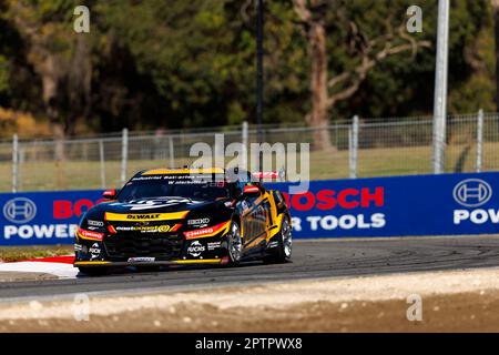 Wanneroo Raceway, Perth, Australie occidentale. 28 avril 2023. Perth SuperSprint 2023 jour 1; pilote numéro 600 DeWalt Mark Winterbottom pendant l'entraînement au Perth SuperSprint Banque D'Images