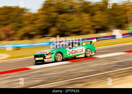 Wanneroo Raceway, Perth, Australie occidentale. 28 avril 2023. Perth SuperSprint 2023 jour 1; le pilote numéro 55 Castrol Thomas Randle pendant l'entraînement au Perth SuperSprint Banque D'Images