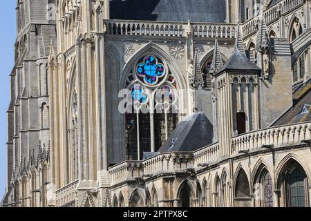 Cathédrale de Bayeux, également connue sous le nom de Cathédrale notre-Dame de Bayeux, notre-Dame de Bayeux, est,une,église,gothique,catholique,romaine,située,dans,le,centre,de,Bayeux.Bayeux,une,ville,commune,dans,le,département,Calvados,en,Normandie,Normandie,dans,le,nord,nord,de,France,français,Europe,Bayeux,où,se trouve,la tapisserie,européenne,de,Bayeux,où,la conquête,de,Bayeux,de,Bayeux,en,en,province,en,normande,où,où,les,se trouve,la tapisserie,la ville,de Banque D'Images