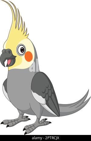 Cockatiel gris de dessin animé sur fond blanc Illustration de Vecteur