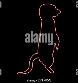 Neon meerkat en pose Suricata suricata rouge couleur vecteur illustration image plat style Illustration de Vecteur