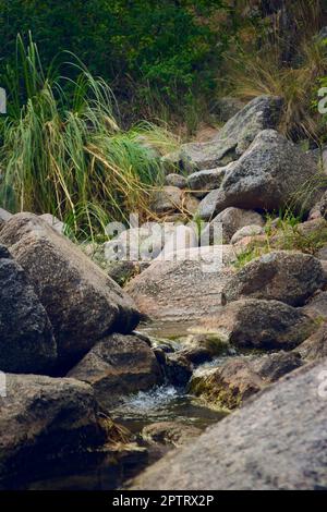 rocky Mountain creek près de Potrero de los Funes, San Luis, Argentine. Banque D'Images