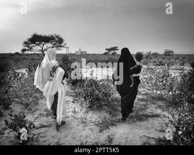 Mauritanie, autour de Chinguetti, village nomade Banque D'Images