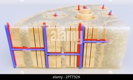 Tissu osseux gros plan à travers une coupe transversale d'un os - rendu -3D Banque D'Images