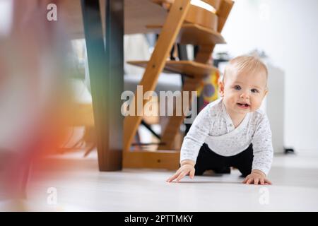 Mignon bébé bébé garçon rampant sous la table de salle à manger à la maison. Bébé jouant à la maison. Banque D'Images