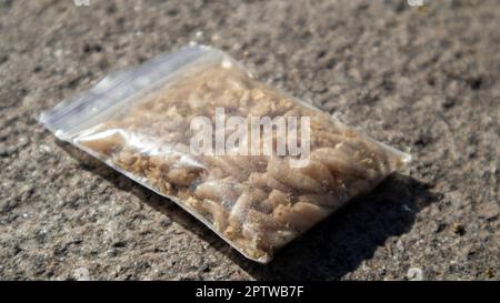 Un petit sac de sciure et de maggots. Appâts vivants pour la pêche. Les larves de mouche sont de bons appâts pour attraper n'importe quel poisson. Pêche. Le sujet est appât pour la carpe, la bream, Banque D'Images
