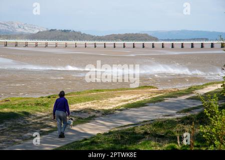 La marée d'Arnside a été le long de l'estuaire du Kent à Arnside, Milnthorpe, Cumbria, Royaume-Uni. Banque D'Images