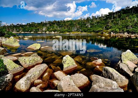 Lac Sniezne Stawki avec Vysoke kolo et rocheuse sauvage Sniezne Kolly dans les montagnes Karkonosze en Pologne près des frontières avec la république tchèque, Karkonosze, Szkl Banque D'Images