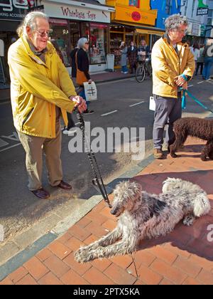 Un chien dans une rue Brighton Banque D'Images
