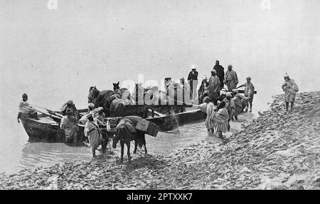 La vie au Maroc, Afrique, c1905. Traversée d'un fleuve marocain : un groupe d'hommes et de chevaux se préparant à monter à bord d'un bateau en bois pour traverser un fleuve sans nom. De la photo de Molinari photo, Tanger. Molinari était associé du photographe britannique Anthony Cavilla. Banque D'Images